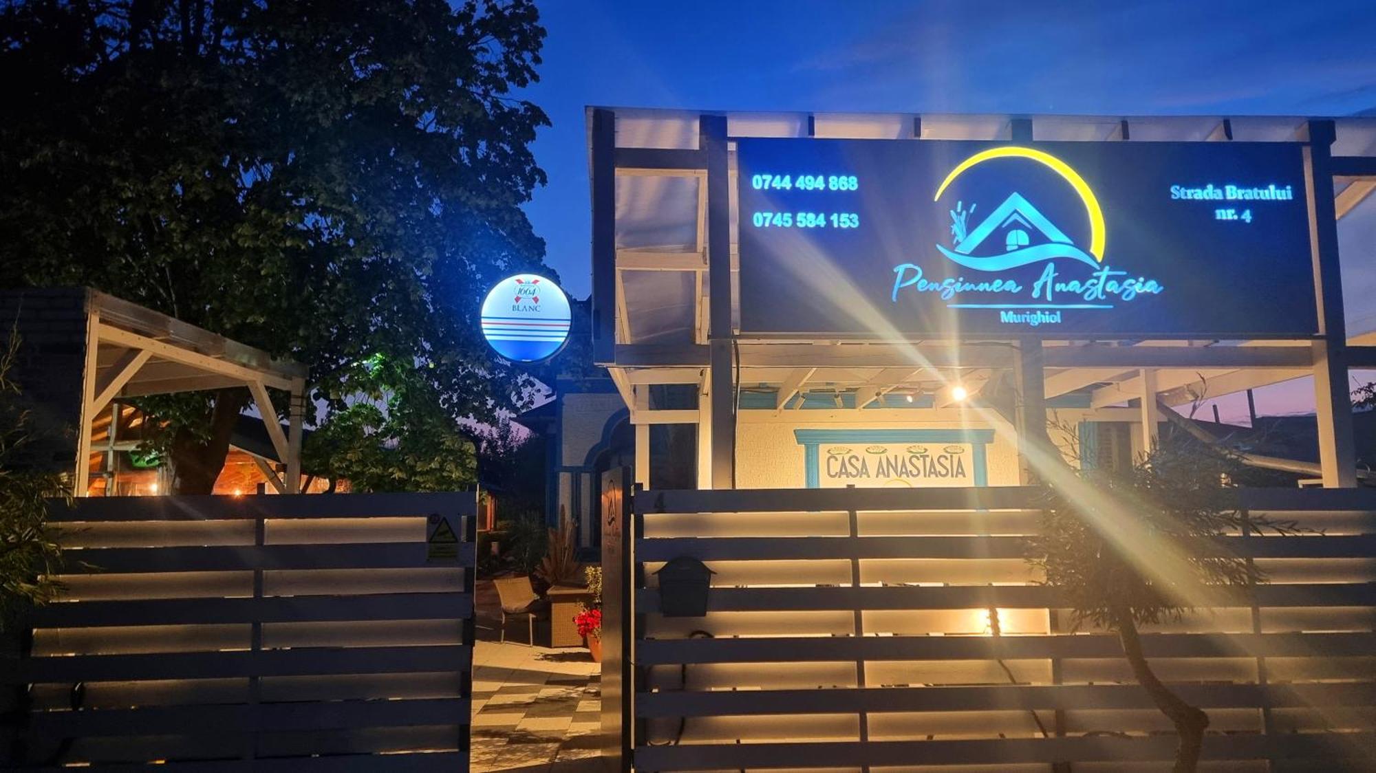 Complex Turistic Casa Anastasia Murighiol Kültér fotó